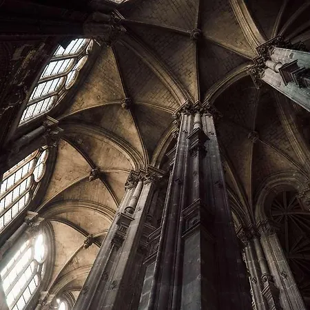 Og Des Arts Montauban