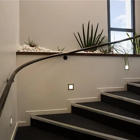 Og Des Arts Montauban * Nègrepelisse