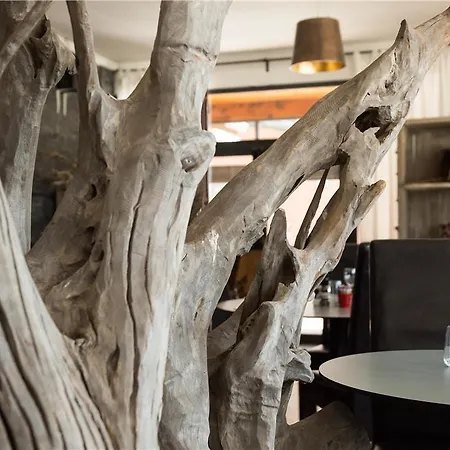 호텔 Og Des Arts Montauban