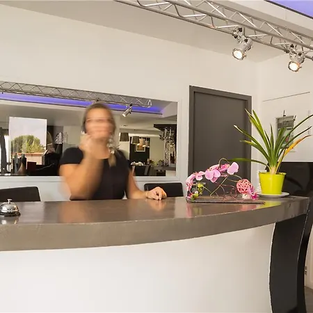 Og Des Arts Montauban Nègrepelisse