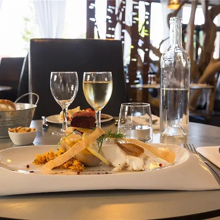 Og Des Arts Montauban